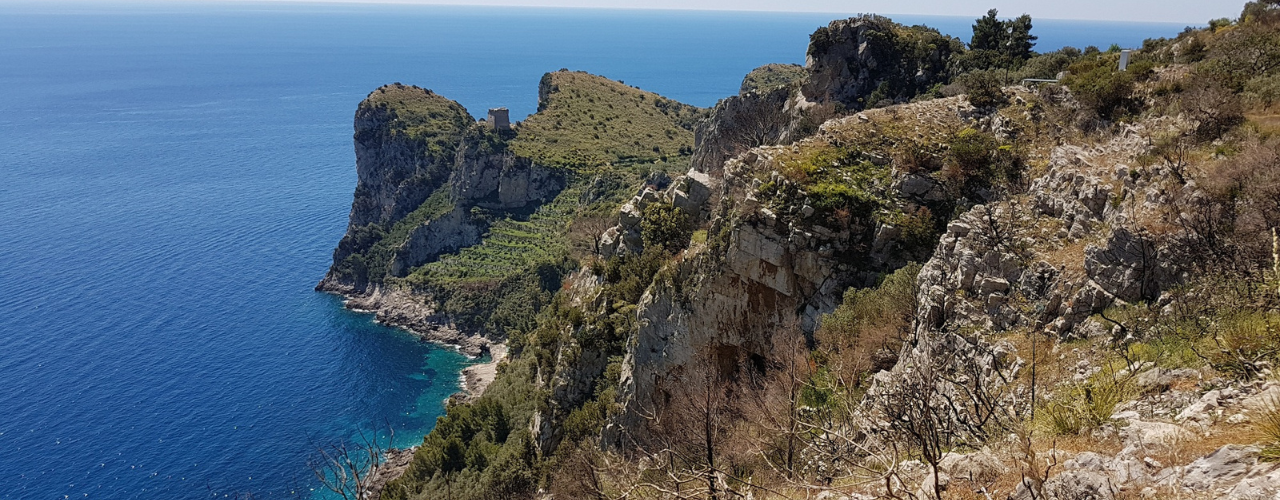 Fai Campania, otto appuntamenti dedicati alla Giornata internazionale della biodiversità