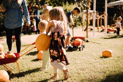 Zucca mania ecco gli eventi a portata di famiglia 1