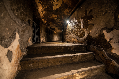 Visite guidate al Teatro Antico di Ercolano 1